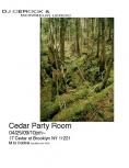 042509_cedar